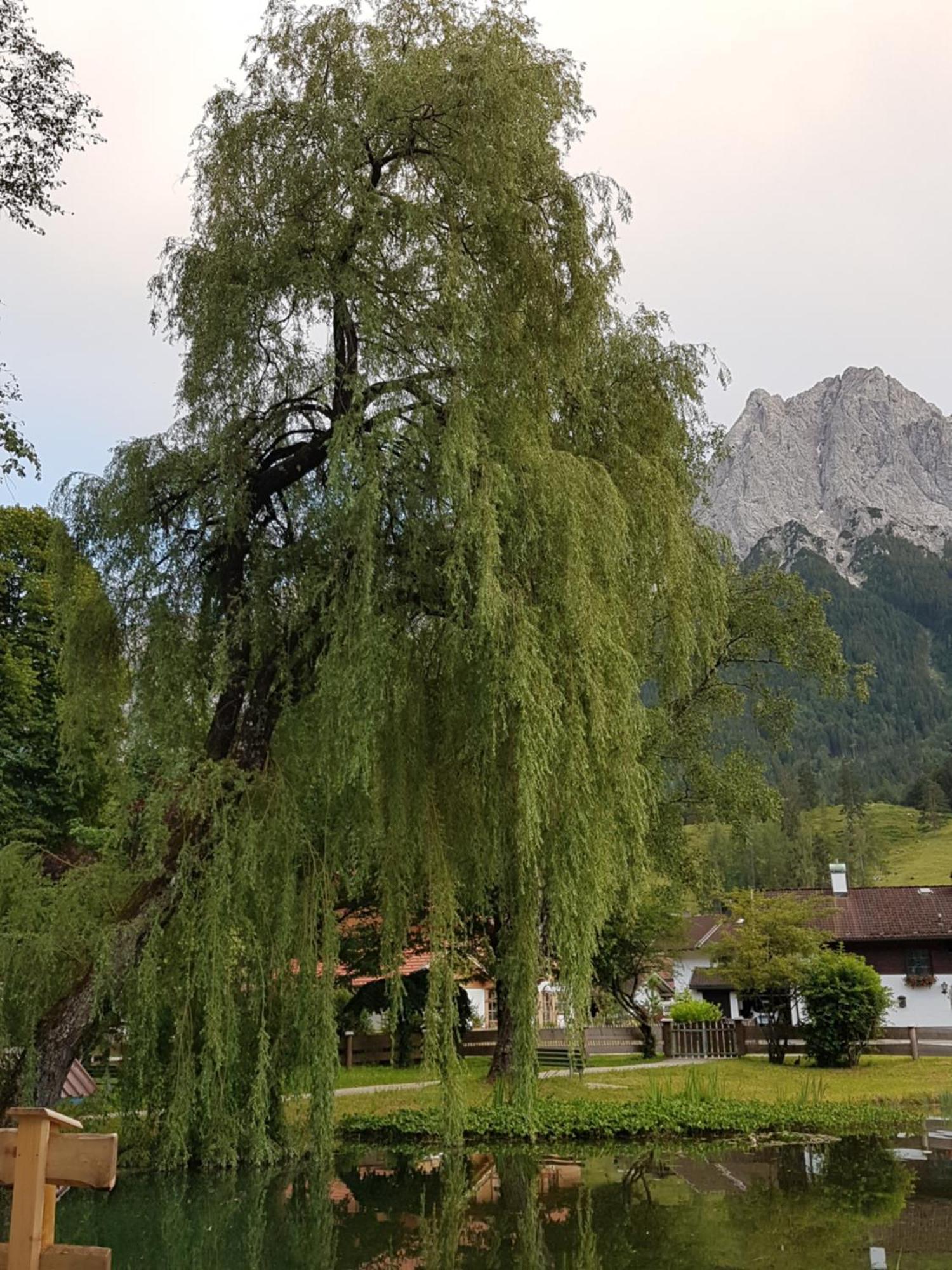 Zum Franziskaner Grainau Buitenkant foto