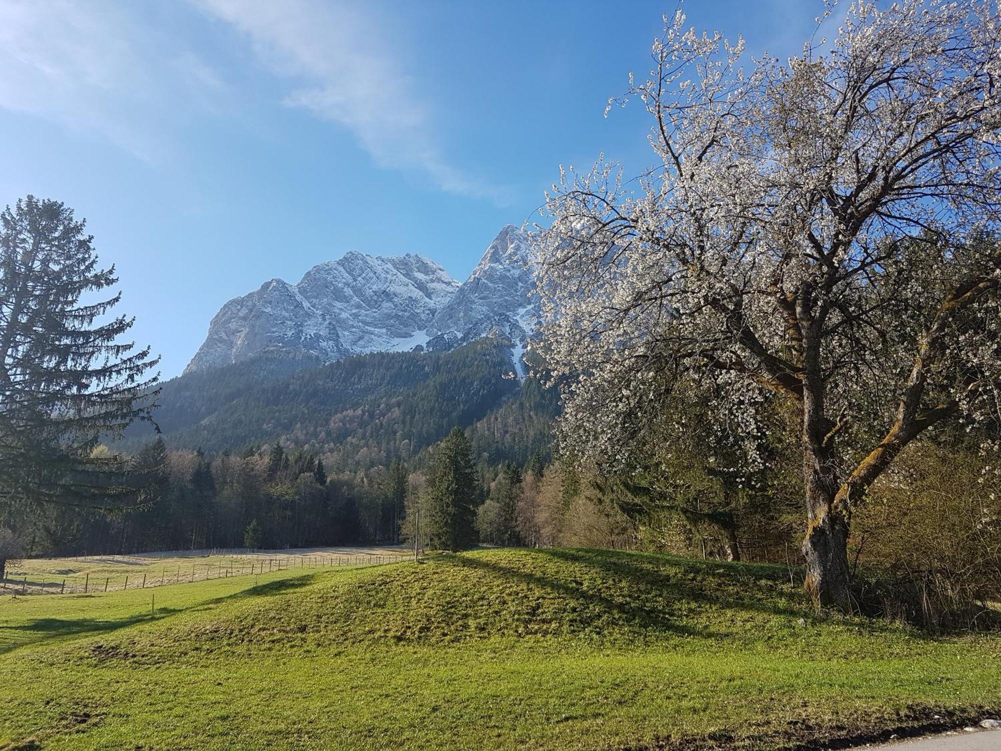 Zum Franziskaner Grainau Buitenkant foto